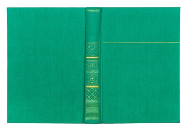 Vintage Tekstil yeşil kitap kapağı üzerinde w izole altın desenli