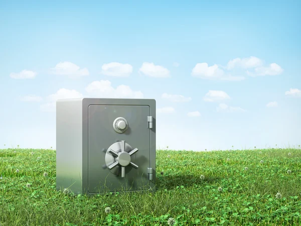 Metal safe on the grass. Safety concept. — Stock Photo, Image