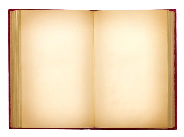 Grungy velho livro aberto sobre isolamento fundo branco — Fotografia de Stock