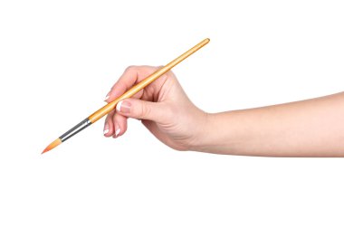 el bir fırça izole beyaz arka plan üzerinde çizer.