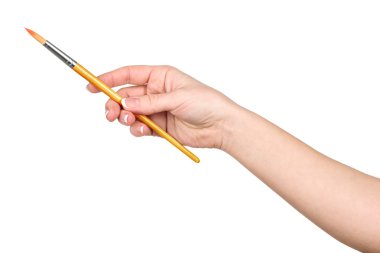 el bir fırça izole beyaz arka plan üzerinde çizer.