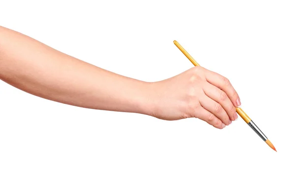 Hand draws a brush on an isolated white background — Stock Photo, Image