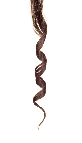 Shiny brown curl isolated on white — Stock Photo, Image