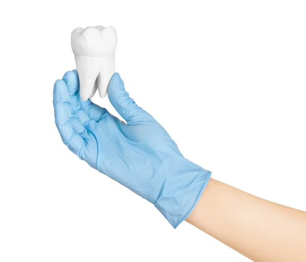 Ręce trzymając ząb gips na białym — Zdjęcie stockowe