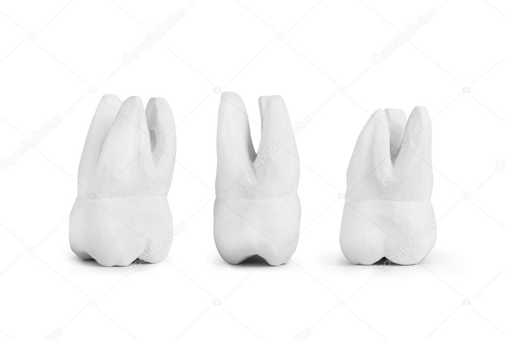 Teeth made of gypsum isolated on white
