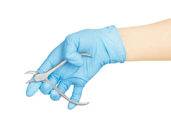 Dental forceps in hand on a white background — Stock Photo, Image