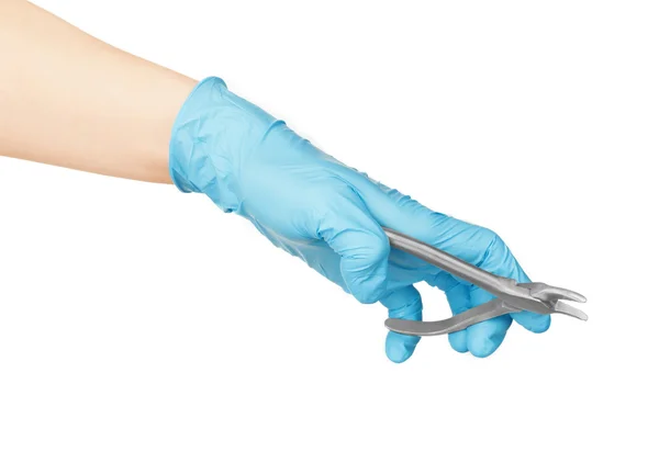 Dental forceps in hand on a white background — Stock Photo, Image