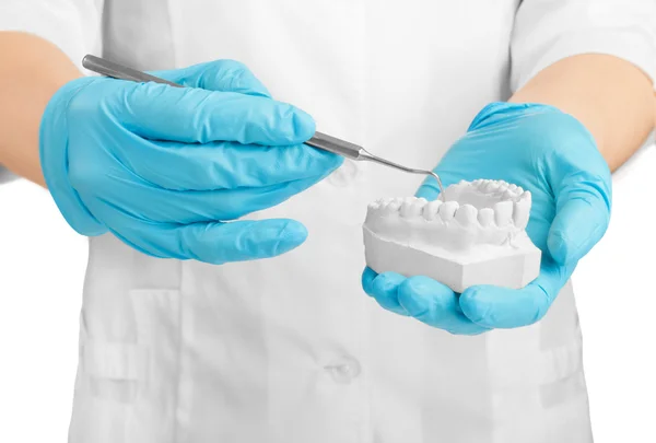 Mãos segurando gesso dente em um branco — Fotografia de Stock