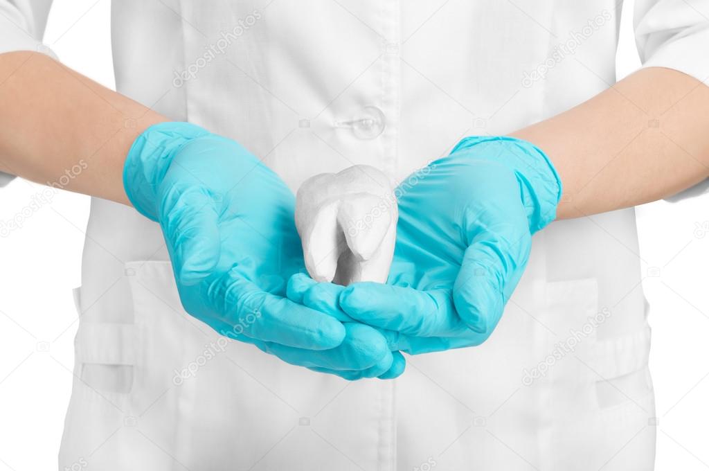 Hands holding tooth gypsum on a white