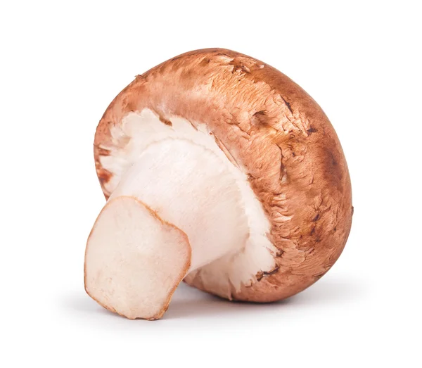 Champignon mushroom isolated on white background — Stock Photo, Image