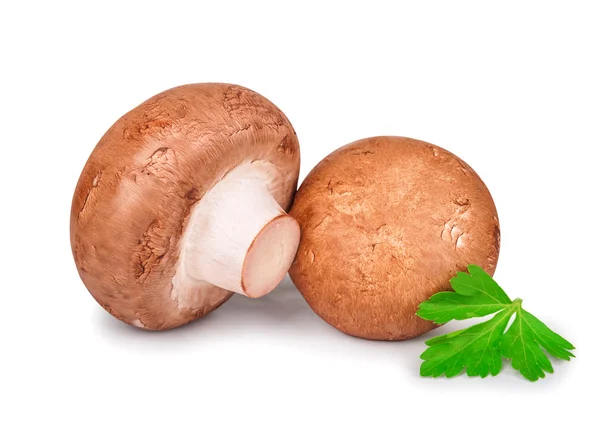 Two champignons with parsley isolated on white background — Stock Photo, Image