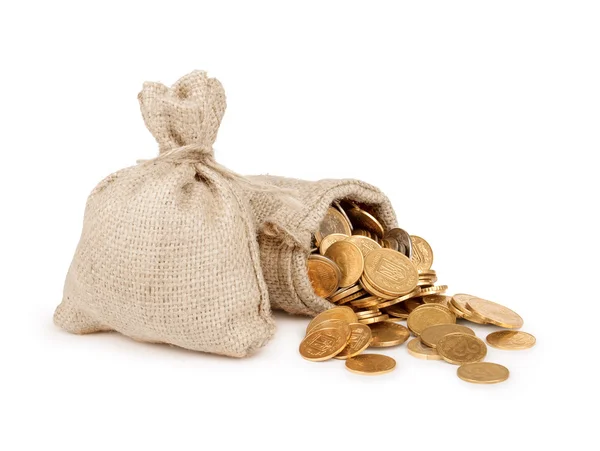 Bags filled with coins. A white background. Isolated. Royalty Free Stock Images
