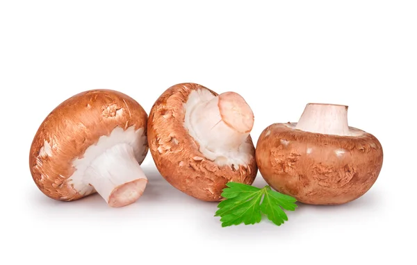 Three fresh champignons with parsley isolated on white backgroun — Stock Photo, Image