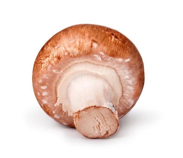 Fresh champignons isolated on white background — Stock Photo, Image