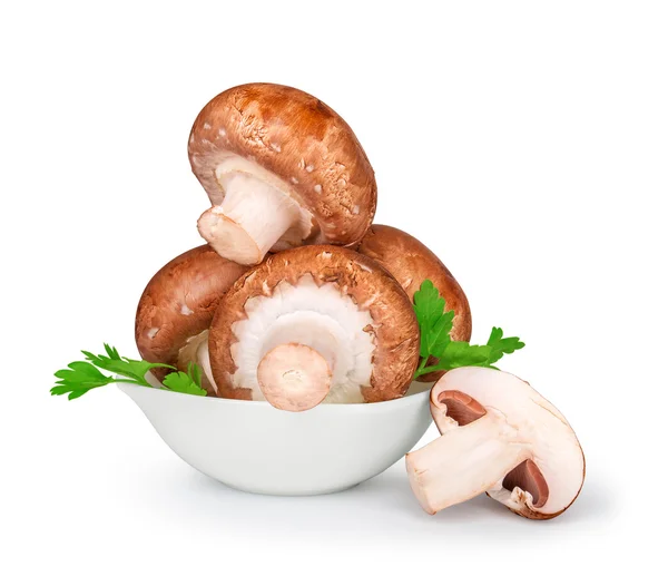 Brown mushrooms in a white bowl isolated on white background — Stock Photo, Image