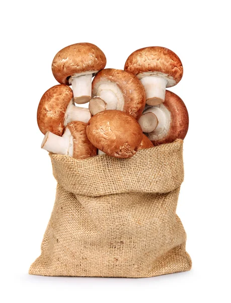 Fresh mushrooms mushrooms in a bag of sackcloth isolated on a wh — Stock Photo, Image