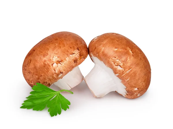Two champignons with parsley isolated on white background — Stock Photo, Image