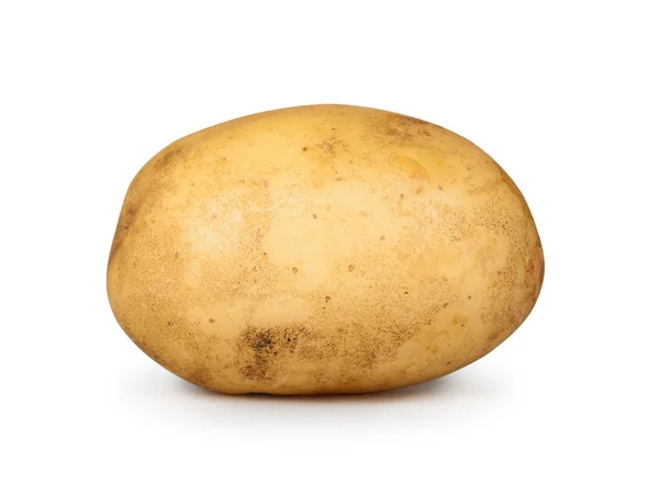 Beyaz arka planda izole edilmiş genç bir patates. — Stok fotoğraf