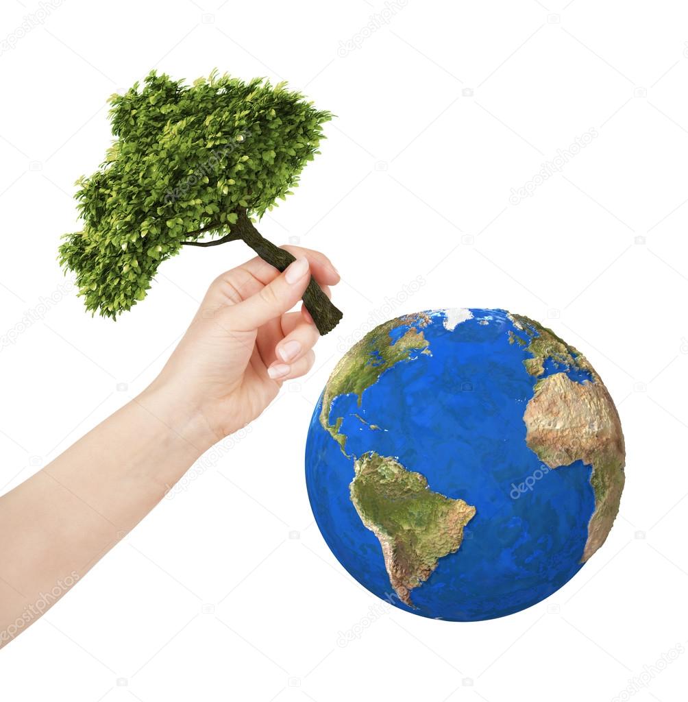 earth, hand planting a tree on the planet. Isolate on white back