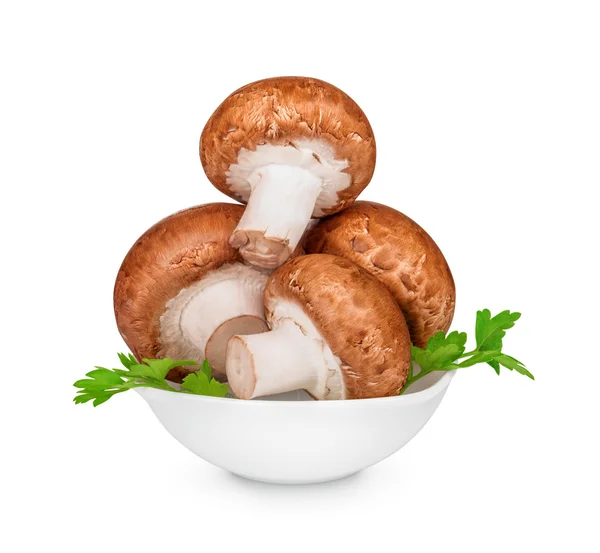 Brown mushrooms in a bowl isolated on white background — Stock Photo, Image