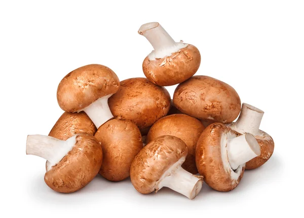 Big pile of brown mushrooms on isolated white background — Stock Photo, Image