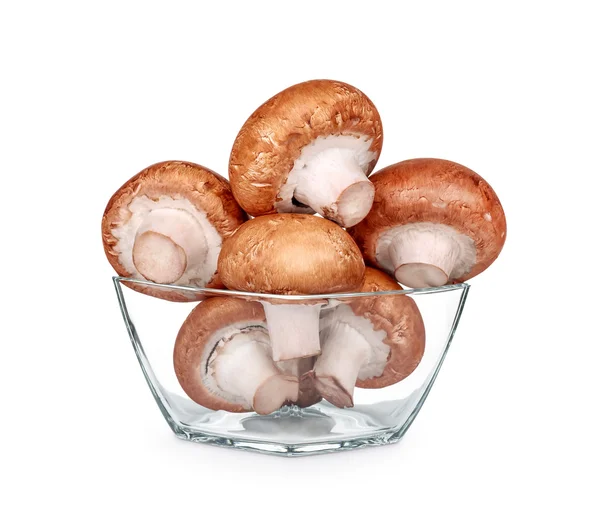 Brown champignons in a square glass bowl on an isolated white ba — Stock Photo, Image