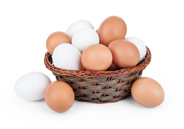 Colecția de ouă izolată pe fundal alb — Fotografie, imagine de stoc
