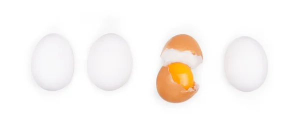 Fresh egg yolks isolated on white background — Stockfoto