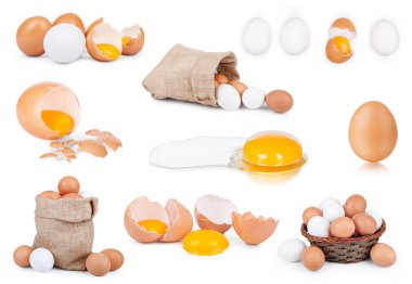 Beyaz Arkaplanda izole edilmiş yumurta koleksiyonu