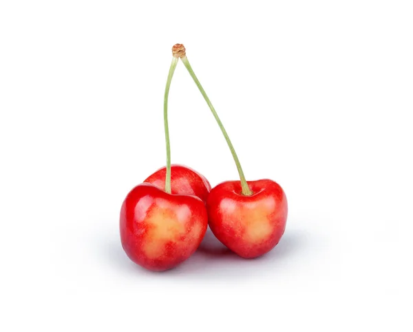 Cherry terisolasi di atas putih — Stok Foto