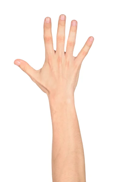 Humano sinal mão aberta contra fundo branco — Fotografia de Stock