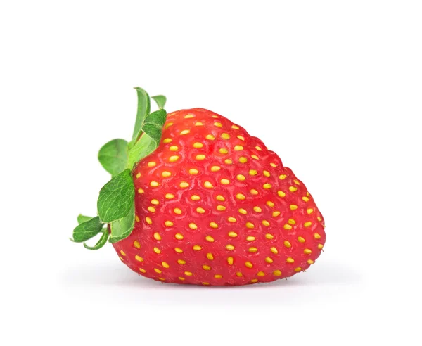 Fragola fresca isolata su fondo bianco con soffice ombra — Foto Stock