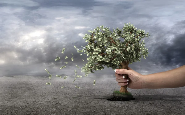 Pojęcie straty pieniędzy. Ręcznie wybiera drzewie pieniędzy pochodzi f — Zdjęcie stockowe