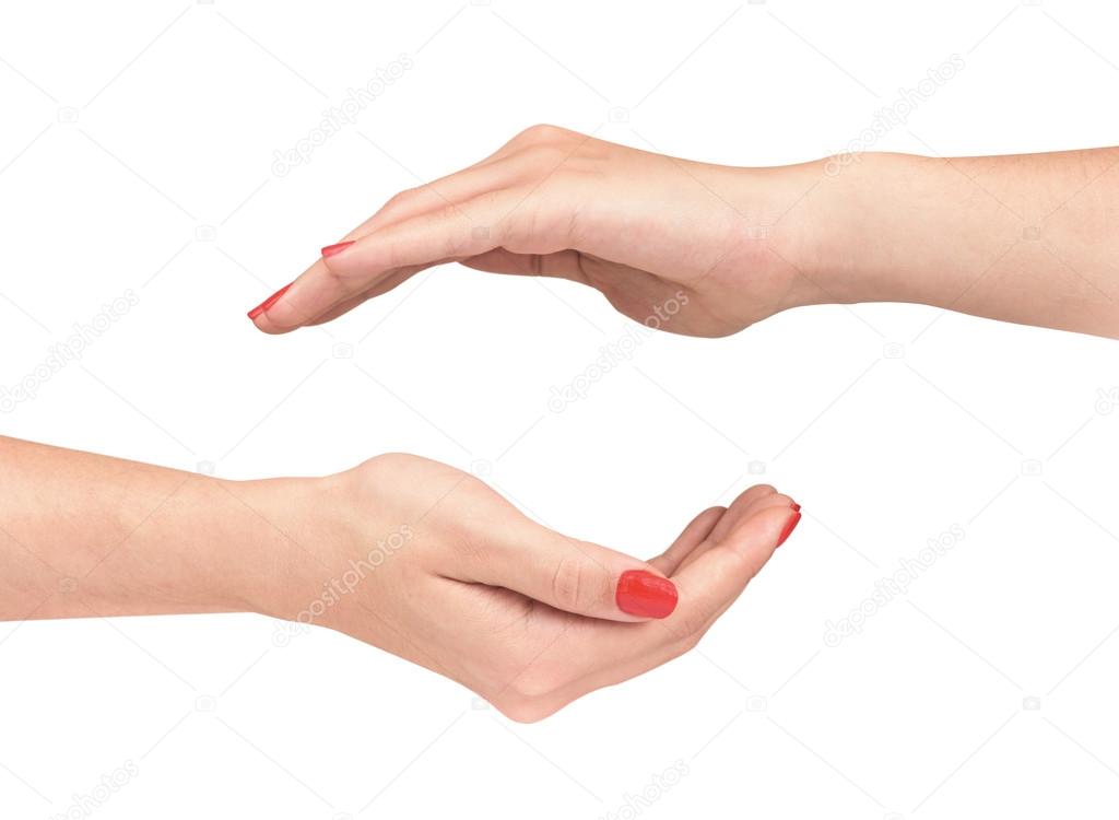 two female hands protecting a gesture on an isolated white backg