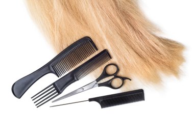 saç için makaslar ile kapatmak kadar izole üzerinde beyaz arka plan