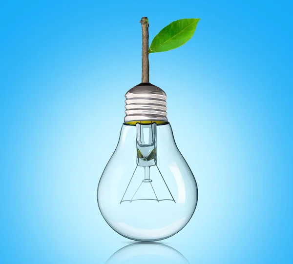 Light Bulb with sprout — Stock Photo, Image