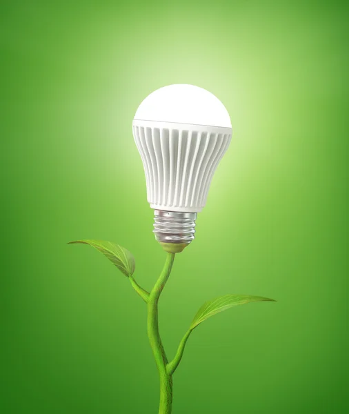 Concept of green energy. The LED light bulb illuminated on stem — Stock Photo, Image