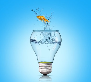 Ampul içinde Japon balığı. Kavram özgürlük