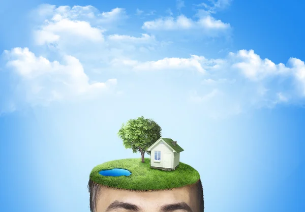 La cabeza humana con hierba y casa. El concepto de ecología — Foto de Stock