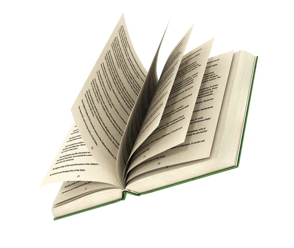 Rendering 3d di un libro aperto su sfondo bianco . — Foto Stock