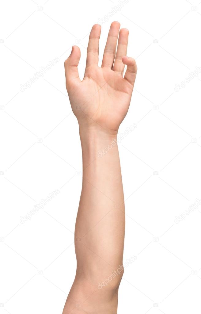 men's elongated hand on an isolated white background