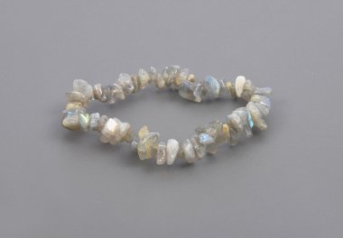 Kıymık Labrador zinciri gri arka plan üzerinde