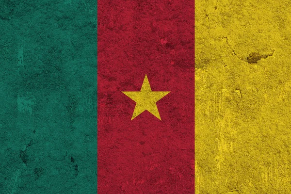 Bandeira Dos Camarões Sobre Betão Desgastado — Fotografia de Stock