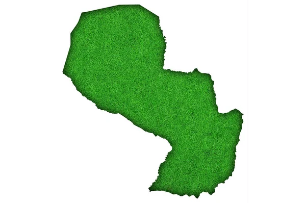 Carte Paraguay Sur Feutre Vert — Photo