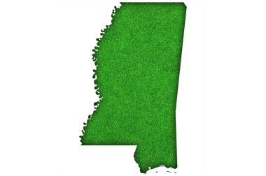 Yeşil keçeli Mississippi haritası