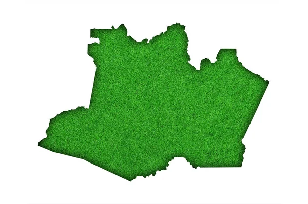 Karta Över Amazonas Grön Filt — Stockfoto