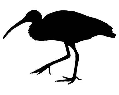 Beyaz üzerine kırmızı aynalı siyah bir siluet.