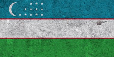 Yıpranmış betonun üzerinde Özbekistan bayrağı