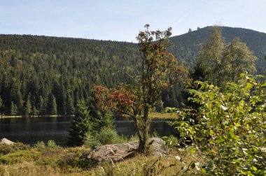 Kleiner Arbersee 'nin kesişiminden Grosser Arber' a doğru