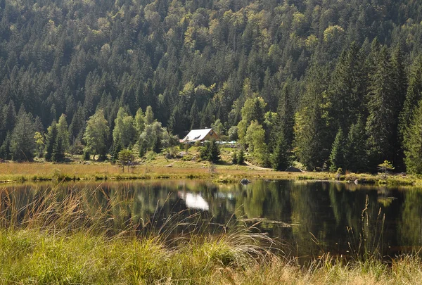 Cutout of the Kleiner Arbersee with view to the Seehaeusl